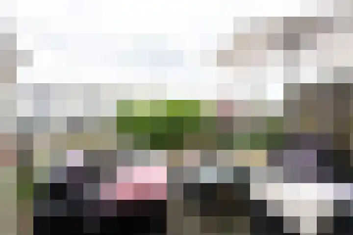 De Wingerd 5 Heerlen thumbnail 16