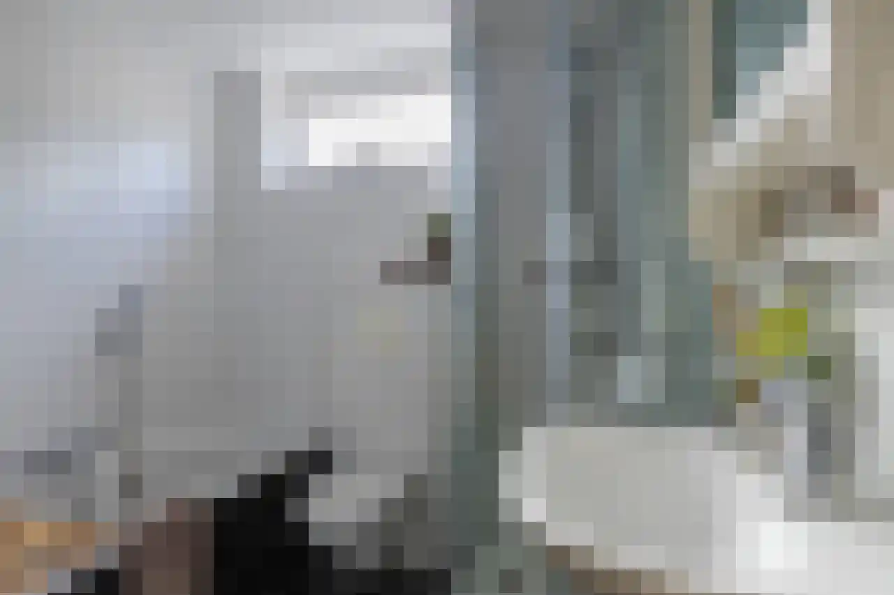 De Wingerd 5 Maarn thumbnail 27