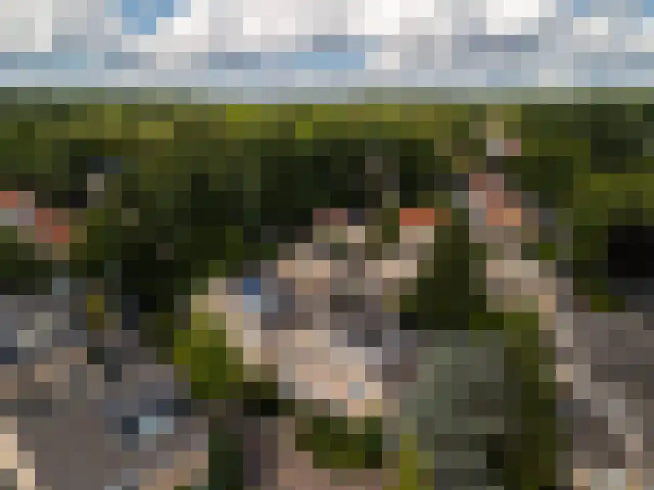 De Wingerd 5 Maarn thumbnail 45