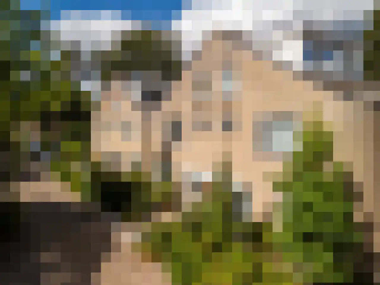 De Wingerd 5 Maarn thumbnail 6