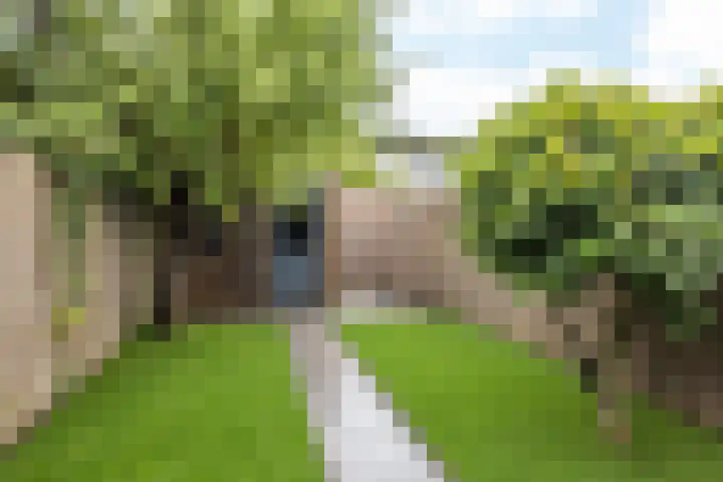 De Wingerd 8 Heerlen thumbnail 28