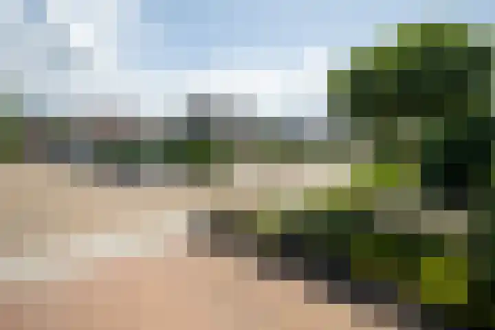 De Wingerd 9 Wierden thumbnail 10