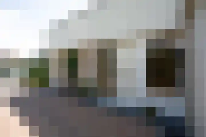 De Wingerd 9 Wierden thumbnail 13