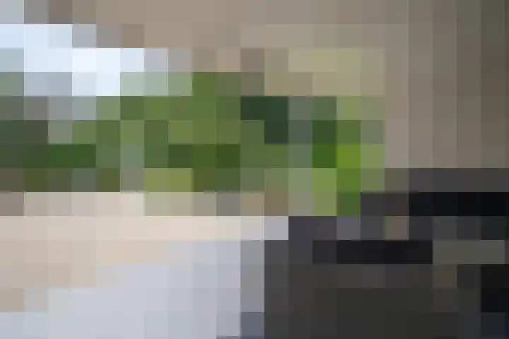 De Wingerd 9 Wierden thumbnail 14