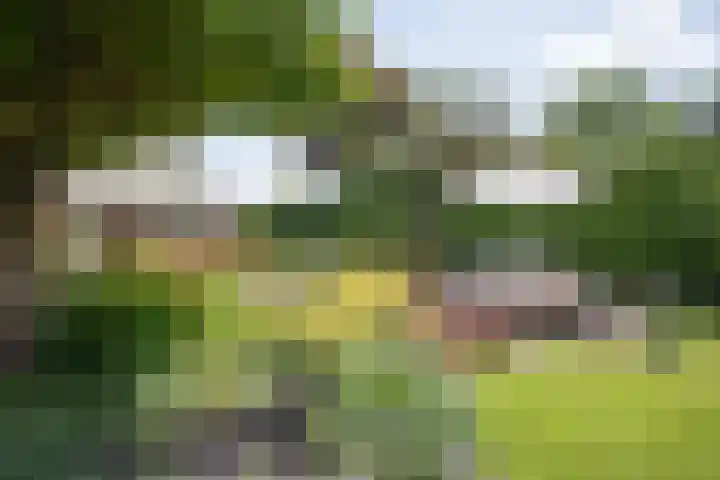 De Wingerd 9 Wierden thumbnail 21