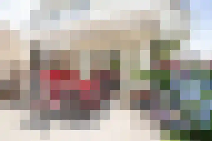 De Wingerd 9 Wierden thumbnail 25