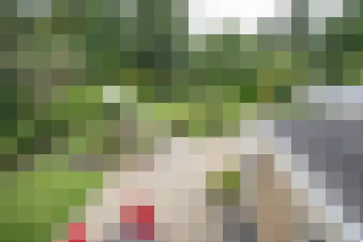 De Wingerd 9 Wierden thumbnail 34