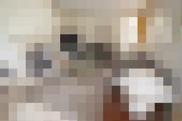 De Wingerd 9 Wierden thumbnail 38