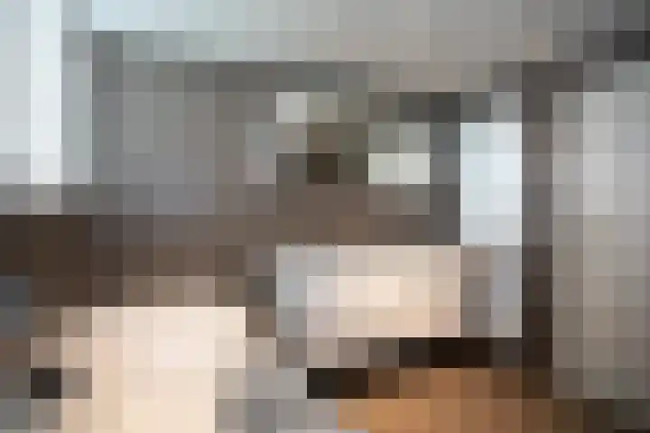 De Wingerd 9 Wierden thumbnail 62
