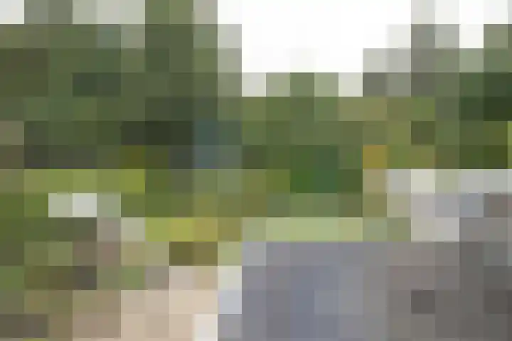 De Wingerd 9 Wierden thumbnail 68