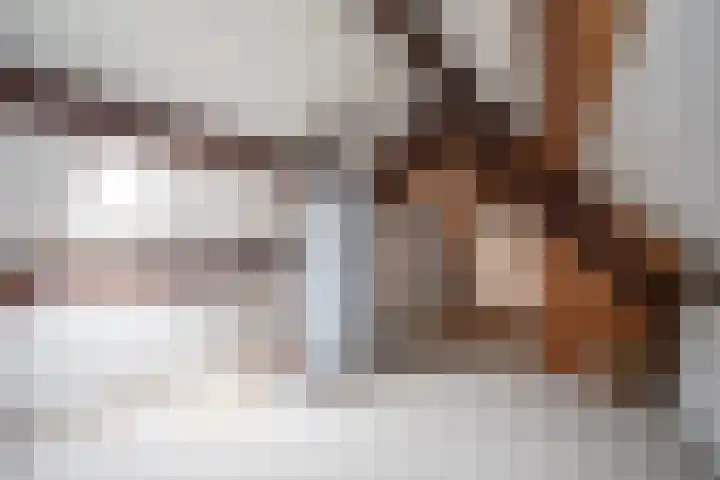 De Wingerd 9 Wierden thumbnail 73