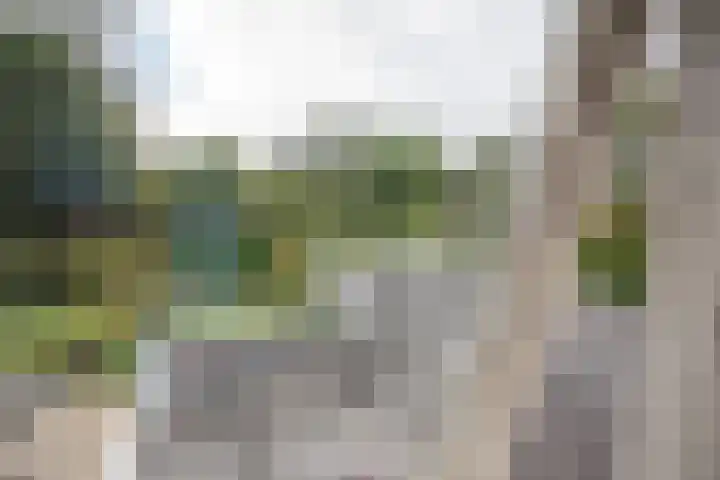 De Wingerd 9 Wierden thumbnail 75