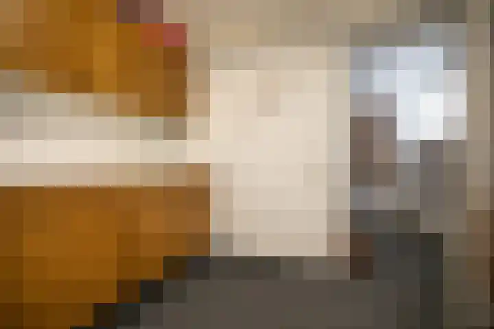 De Wingerd 9 Wierden thumbnail 77