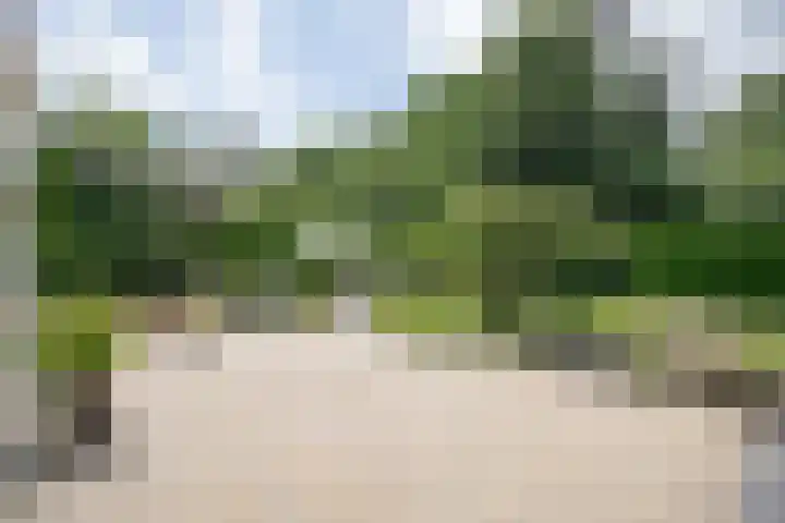De Wingerd 9 Wierden thumbnail 8