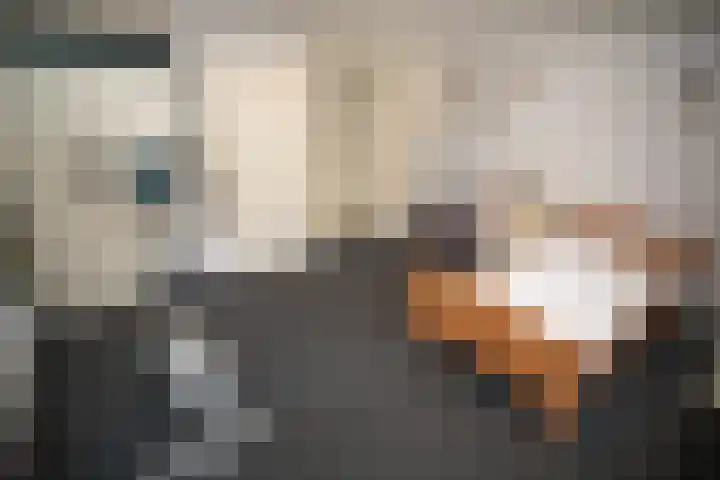 De Wingerd 9 Wierden thumbnail 81