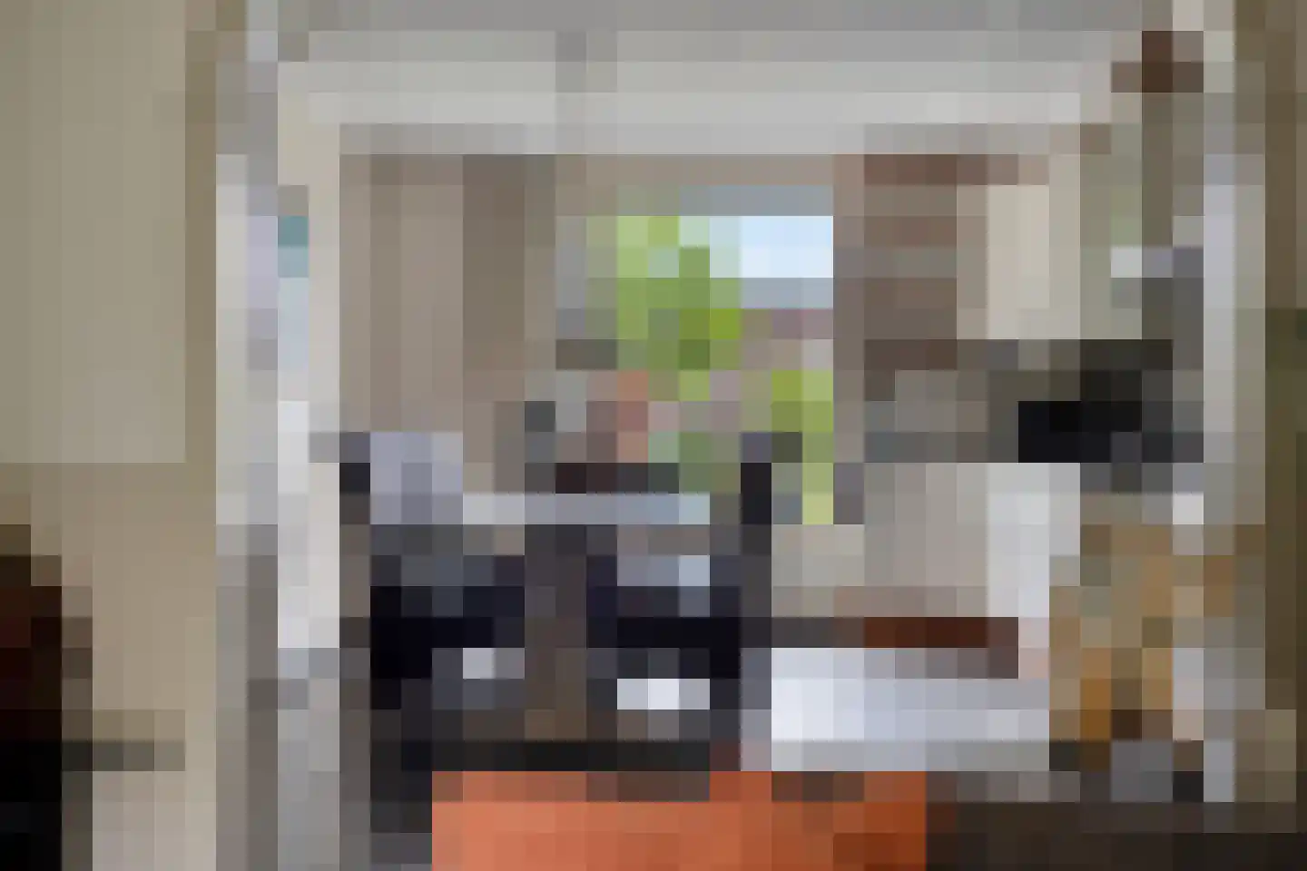 De Winkelakkers 19 Emmen thumbnail 13