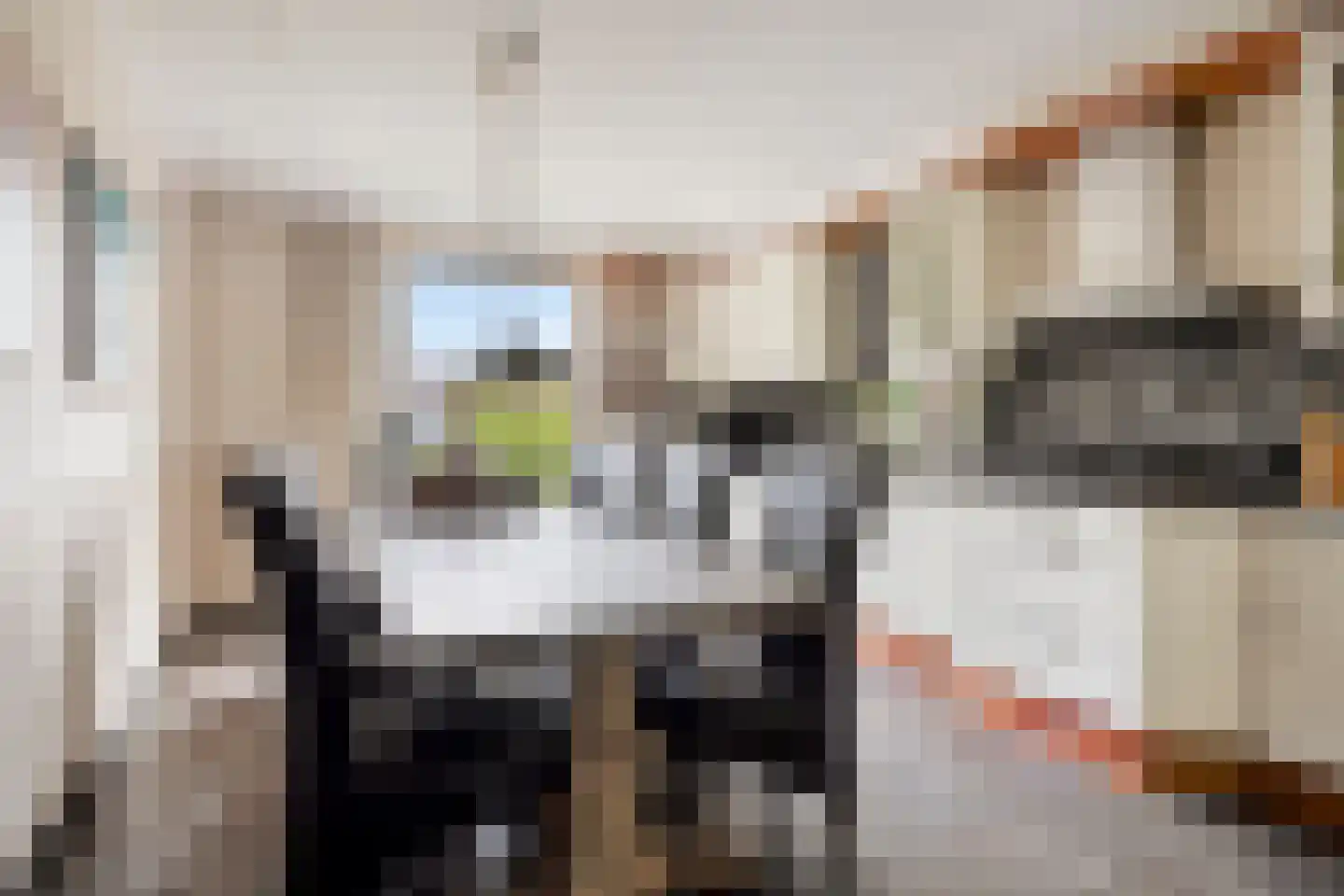 De Winkelakkers 19 Emmen thumbnail 15
