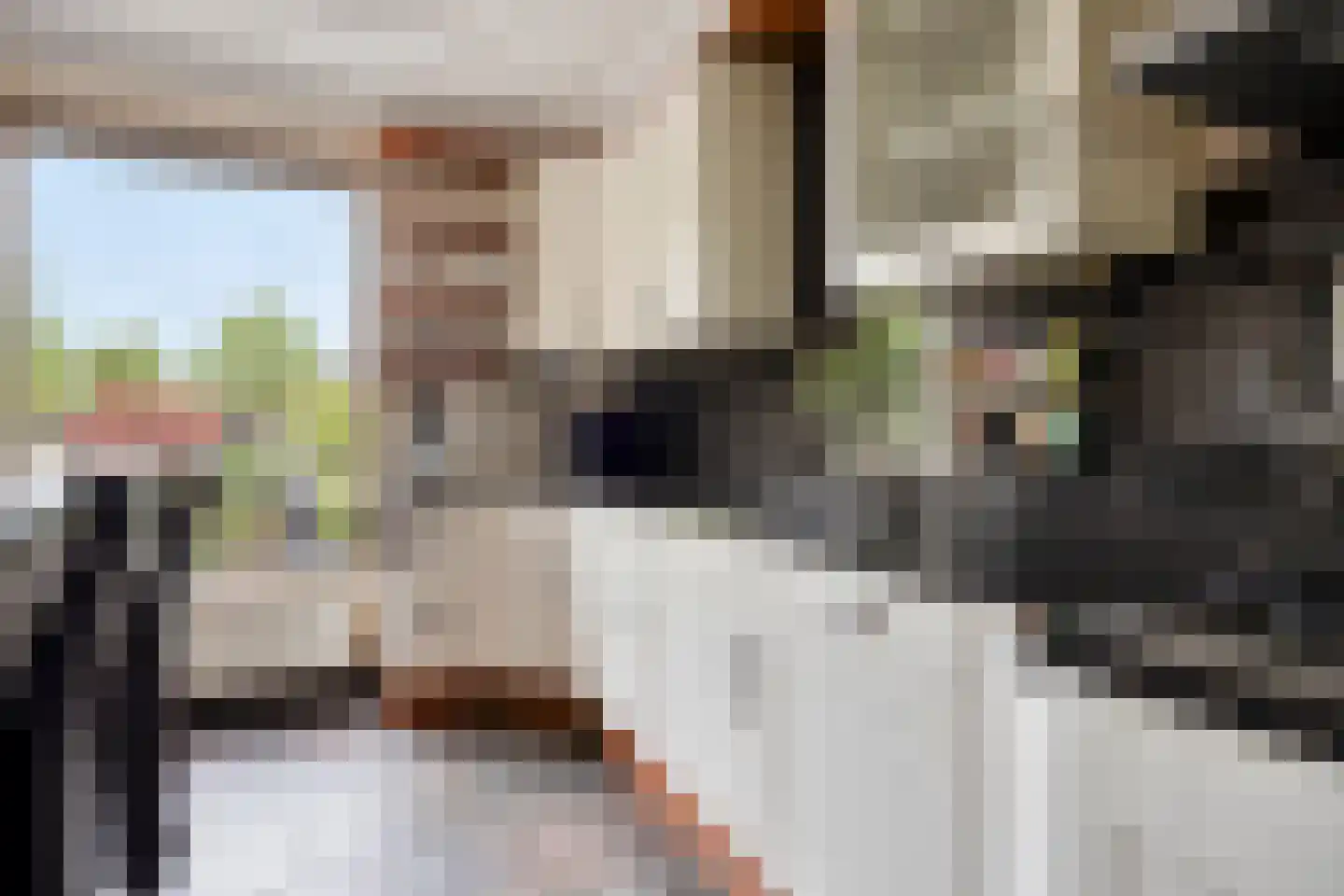 De Winkelakkers 19 Emmen thumbnail 19