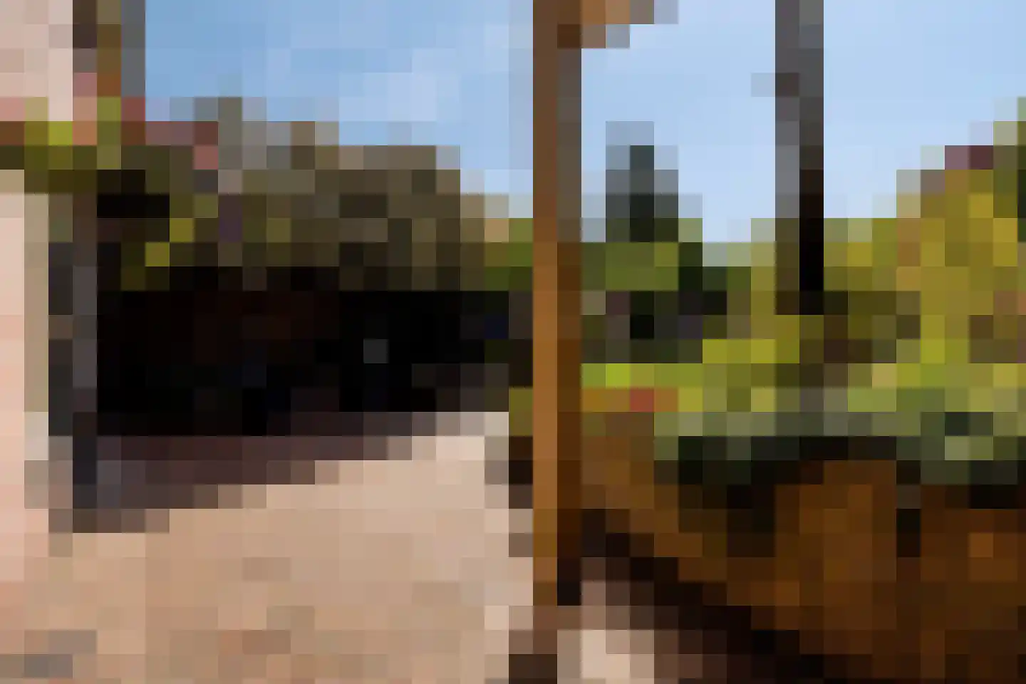 De Winkelakkers 19 Emmen thumbnail 37