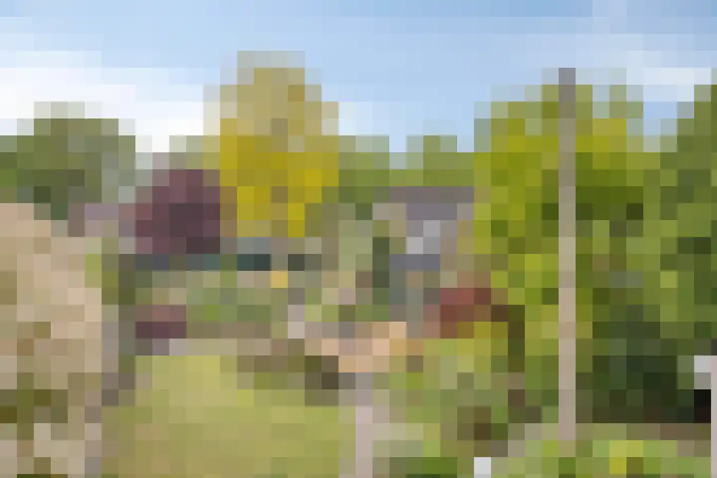 De Winkelakkers 19 Emmen thumbnail 38