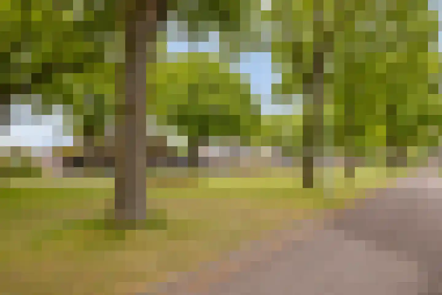 De Winkelakkers 19 Emmen thumbnail 45