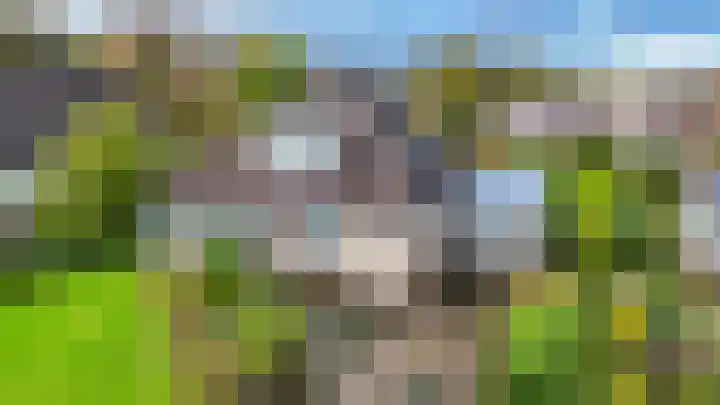 de Winkelman 2 Nieuwehorne thumbnail 10