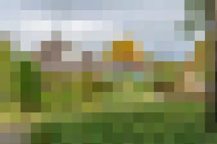 de Winkelman 2 Nieuwehorne thumbnail 13