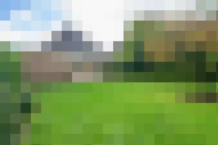 de Winkelman 2 Nieuwehorne thumbnail 15