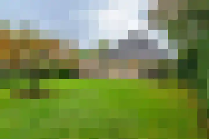 de Winkelman 2 Nieuwehorne thumbnail 16