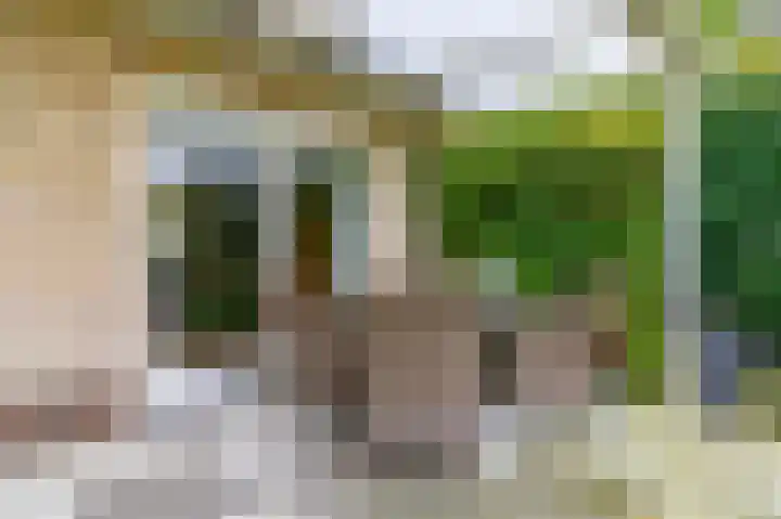 de Winkelman 2 Nieuwehorne thumbnail 18