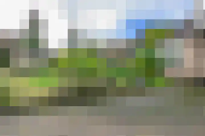 de Winkelman 2 Nieuwehorne thumbnail 20