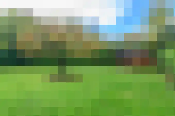 de Winkelman 2 Nieuwehorne thumbnail 21
