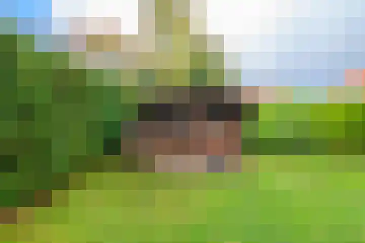 de Winkelman 2 Nieuwehorne thumbnail 22