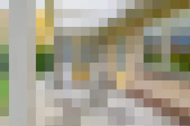 de Winkelman 2 Nieuwehorne thumbnail 23