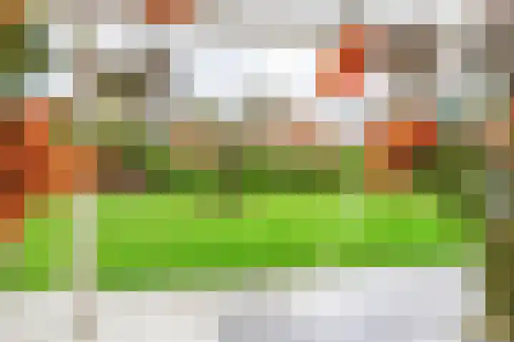 de Winkelman 2 Nieuwehorne thumbnail 25