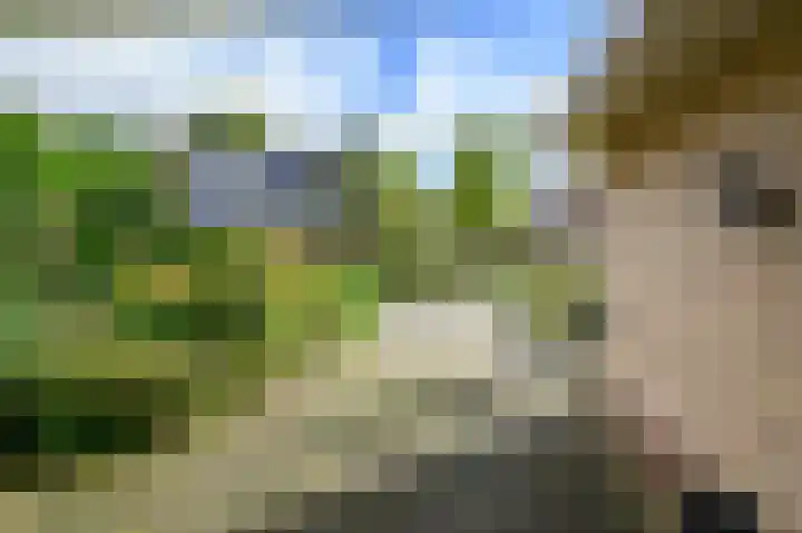de Winkelman 2 Nieuwehorne thumbnail 26