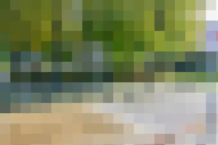 de Winkelman 2 Nieuwehorne thumbnail 27