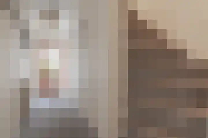 de Winkelman 2 Nieuwehorne thumbnail 33