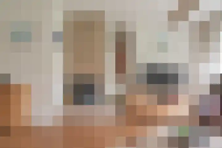 de Winkelman 2 Nieuwehorne thumbnail 35