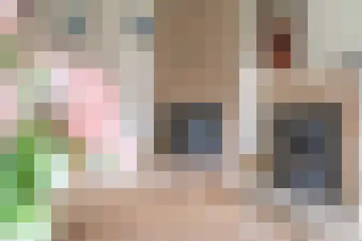 de Winkelman 2 Nieuwehorne thumbnail 36