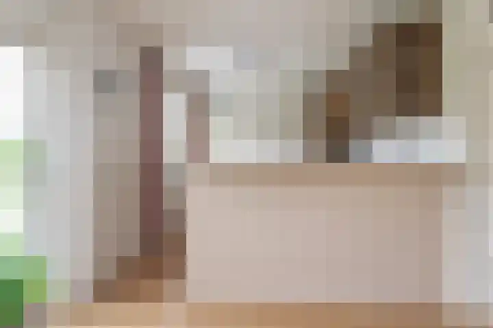 de Winkelman 2 Nieuwehorne thumbnail 39