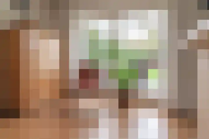 de Winkelman 2 Nieuwehorne thumbnail 43