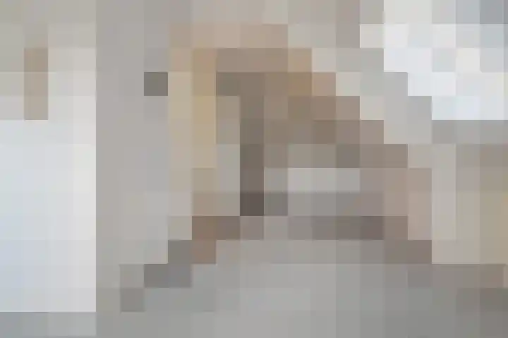 de Winkelman 2 Nieuwehorne thumbnail 57
