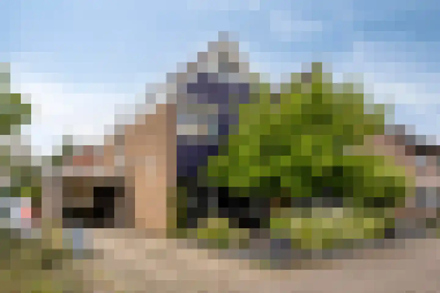 De Wipstaart 2 in Almelo