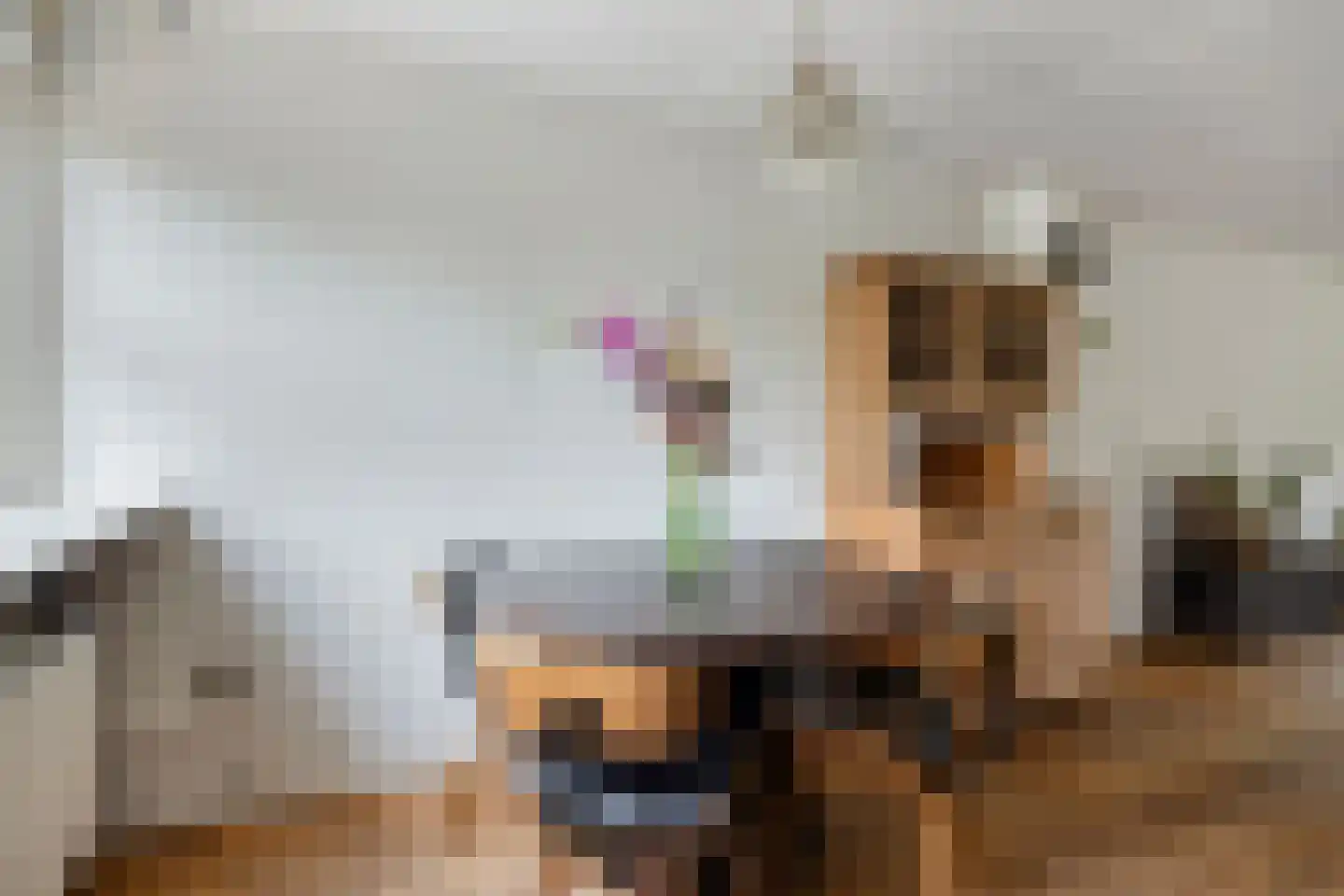 De Wipstaart 2 Almelo thumbnail 10