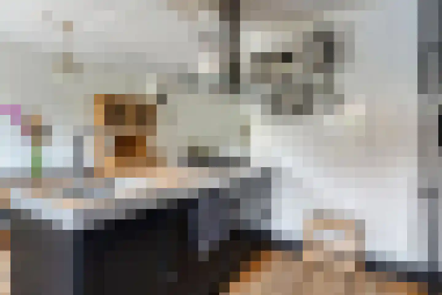 De Wipstaart 2 Almelo thumbnail 13