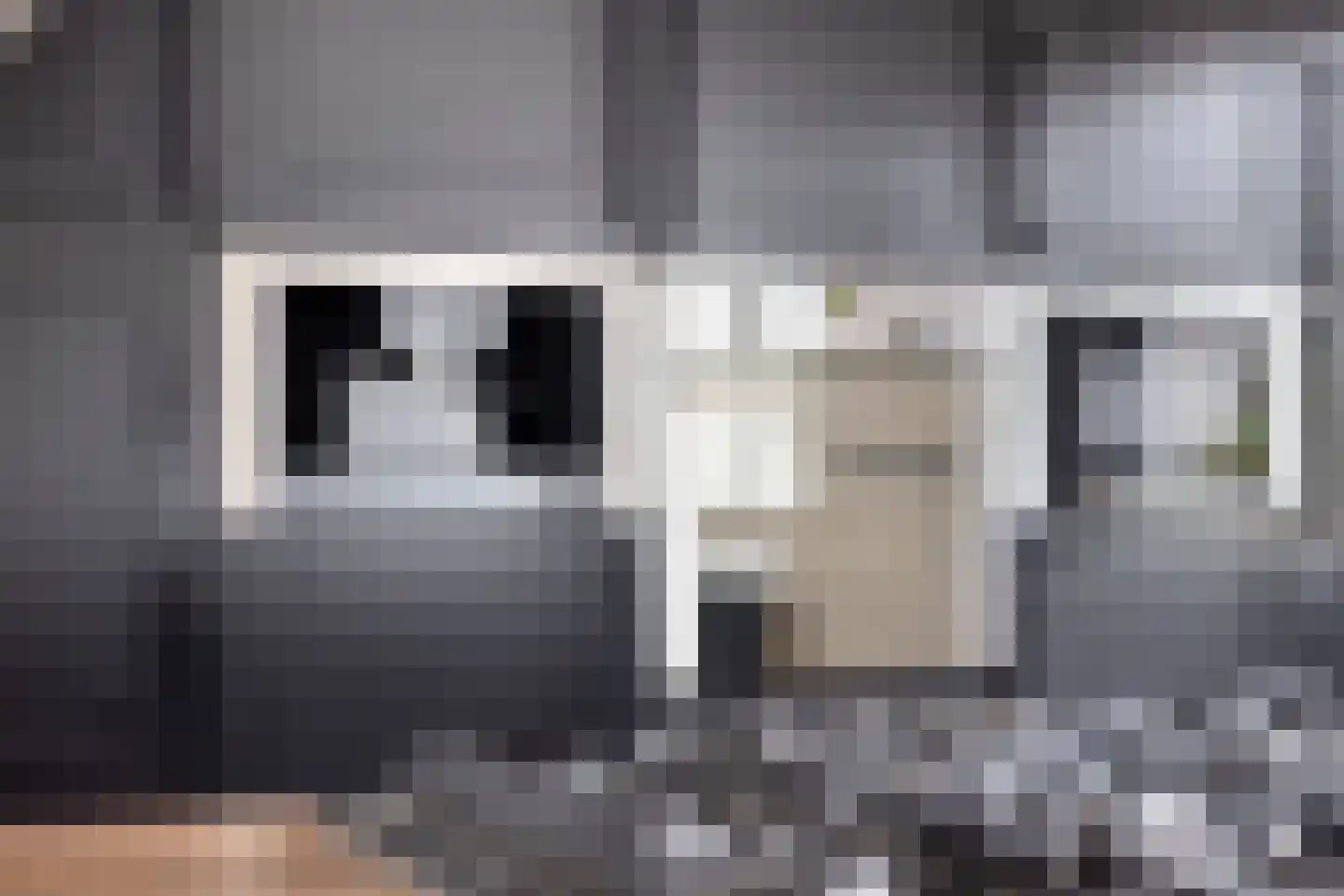 De Wipstaart 2 Almelo thumbnail 15