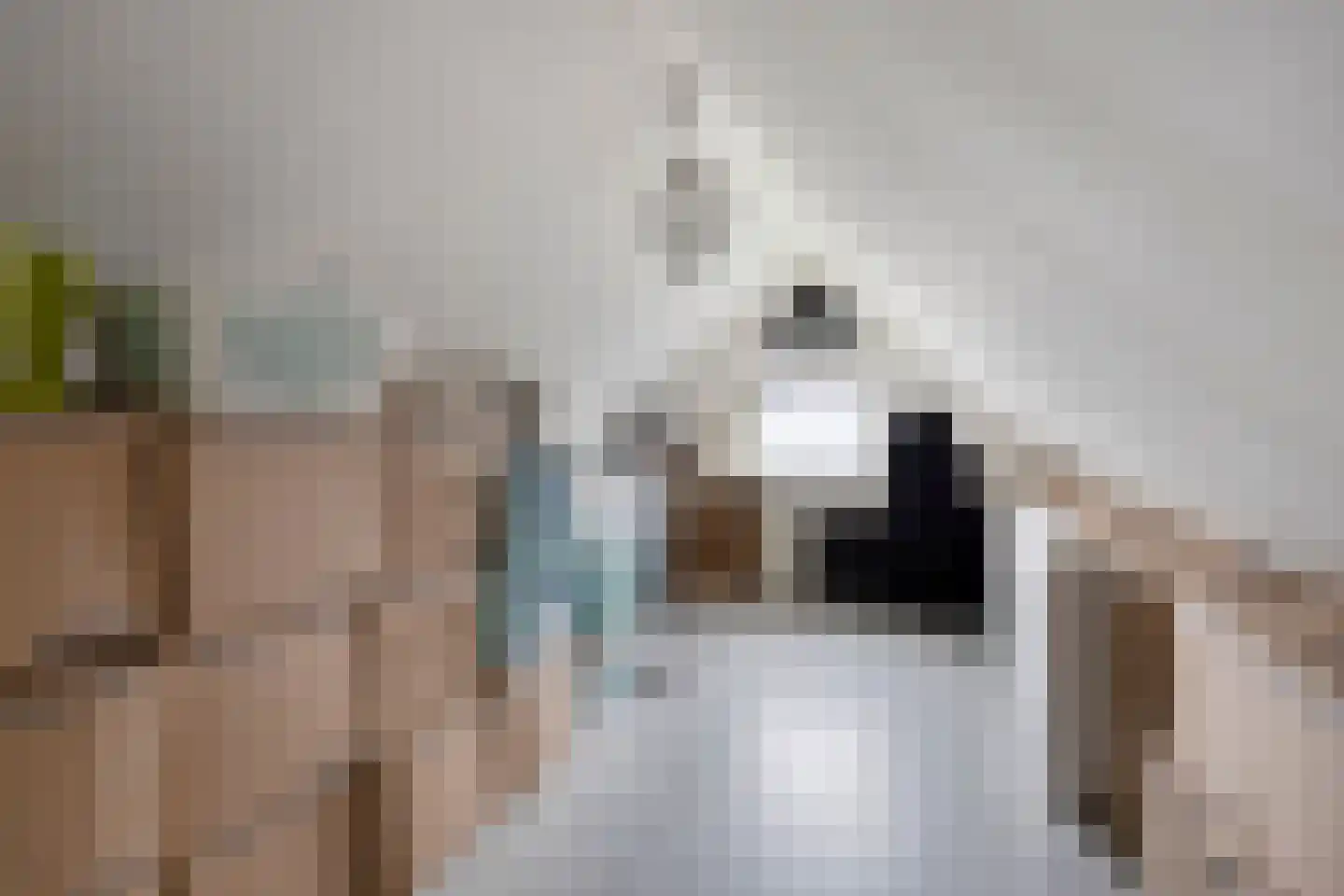 De Wipstaart 2 Almelo thumbnail 23