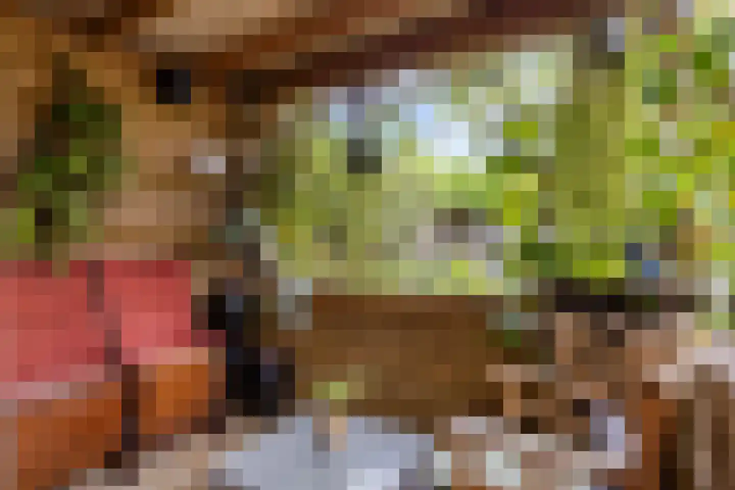 De Wipstaart 2 Almelo thumbnail 29