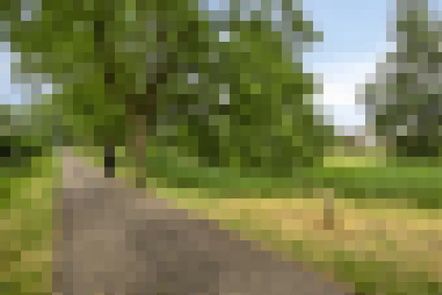De Wipstaart 2 Almelo thumbnail 33